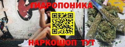 кокс Аша
