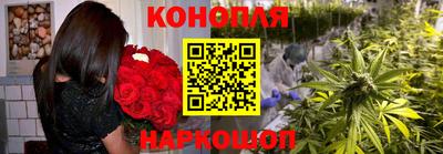 кокс Аша