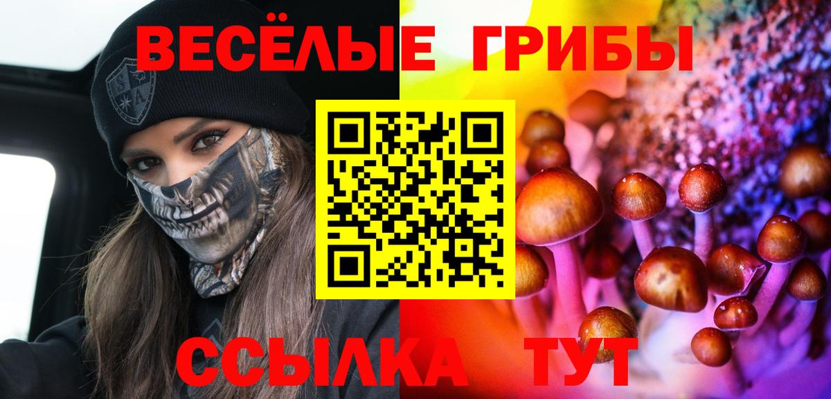 Галлюциногенные грибы Psilocybine cubensis Великие Луки